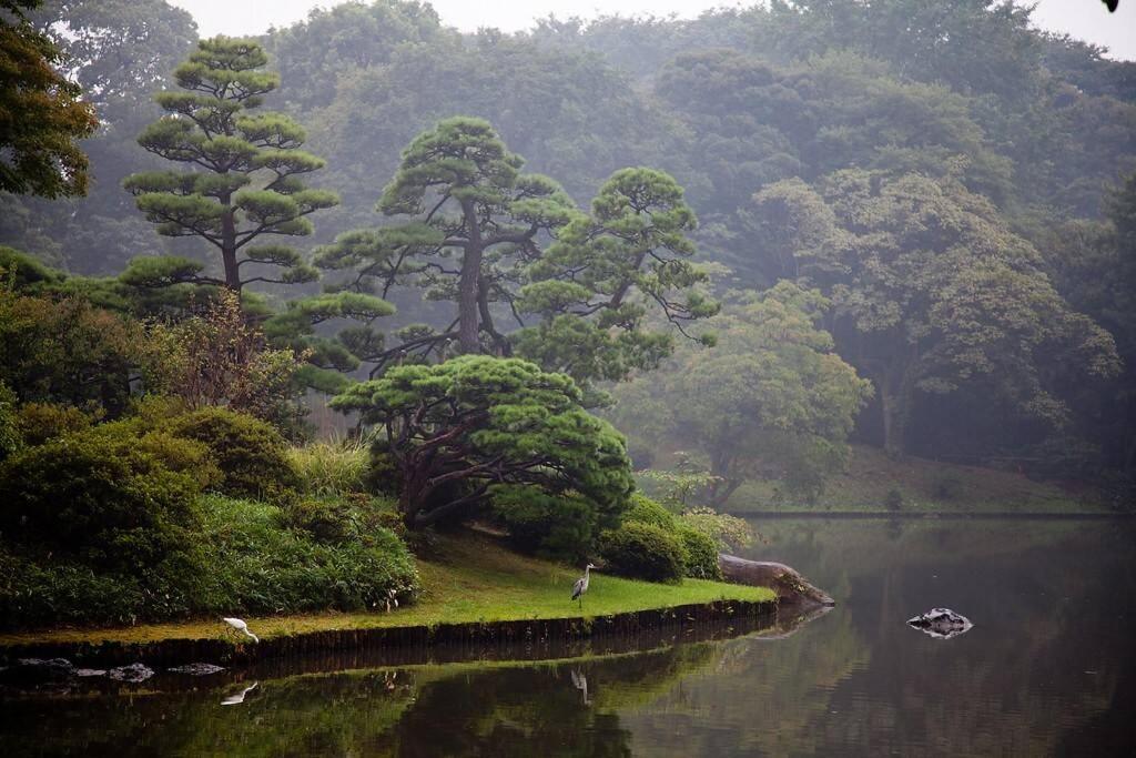 Tora Hotel Tokyo-Rikugienn 寅ホテル 六義園 C Dış mekan fotoğraf